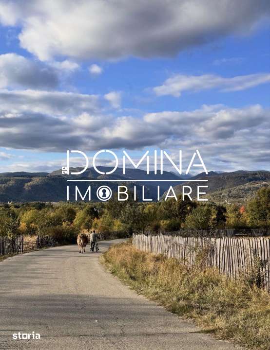 Vanzare teren intravilan *3262 mp -  Baia de Fier - potential turistic - Imagine principală: 2/9