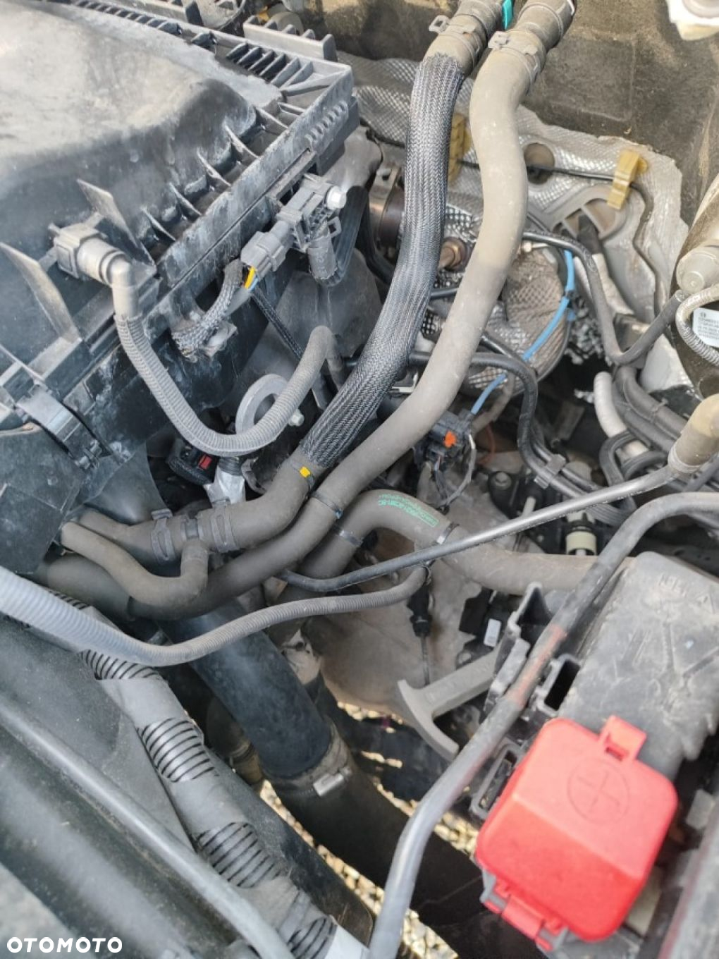 Ford Transit - 24