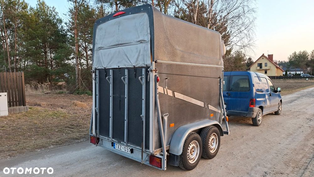 Inny Rausch AKR05L - 8