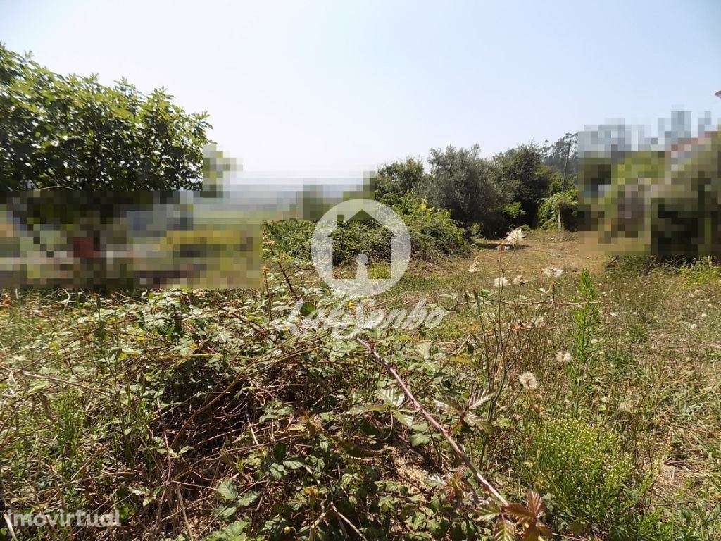 Moradia em ruínas com terreno de 778 m2  - Jesufrei - Grande imagem: 3/9