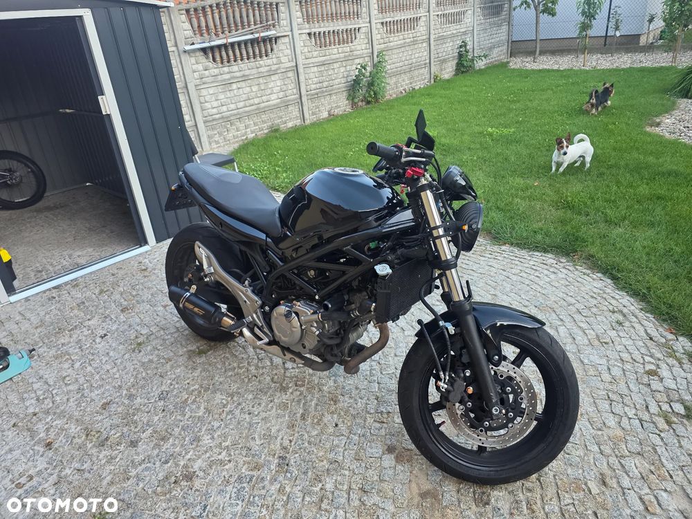 Suzuki Gladius - 6