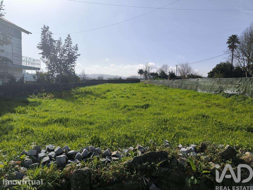 Terreno em São Romão de Neiva - Grande imagem: 4/6