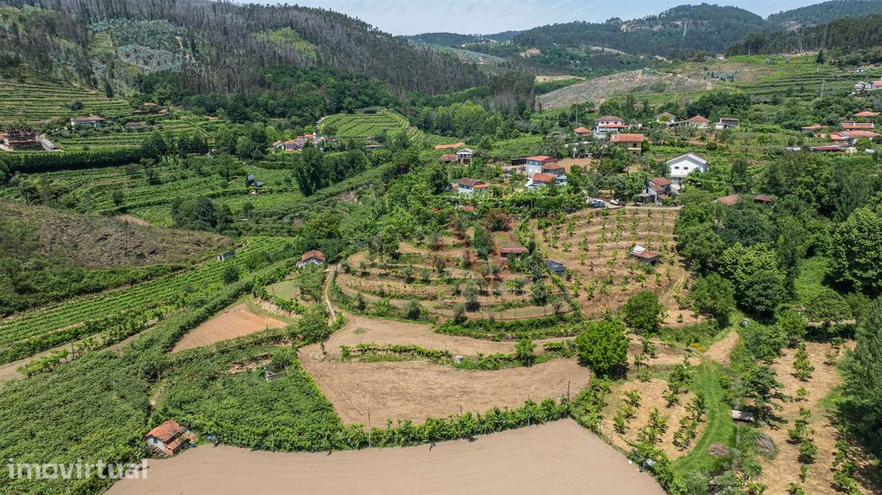 Terreno com 5.000 m² com Potêncial De Construção - Grande imagem: 5/8