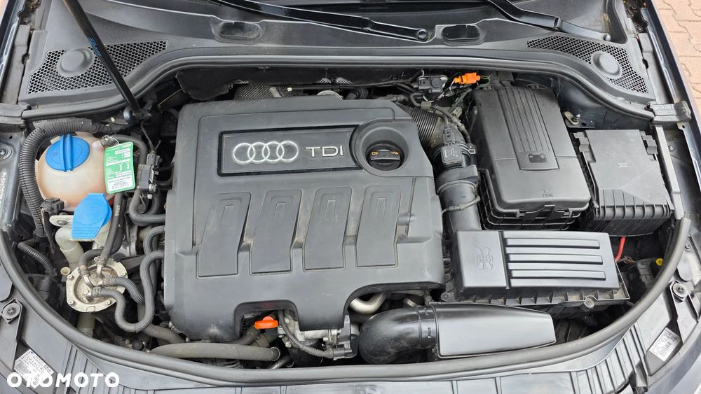 Audi A3 Sportback 1.6 TDI DPF Ambition - 25