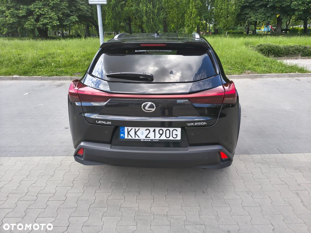 Lexus UX - 7