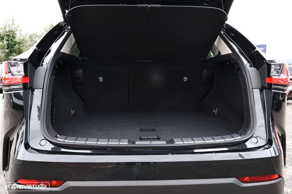 Lexus NX 450h+ Luxury - 21