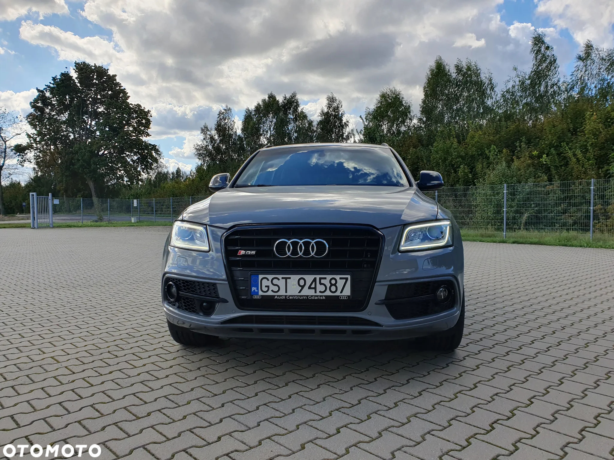 Audi SQ5 3.0 TDI Plus Quattro Tiptr - 13