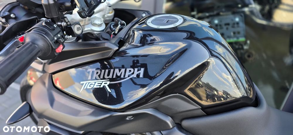 Triumph Tiger - 32