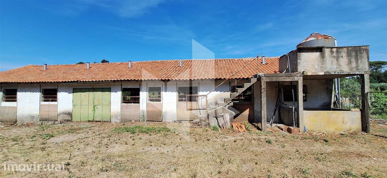 Quintinha  Venda em Lobão da Beira,Tondela - Grande imagem: 4/17