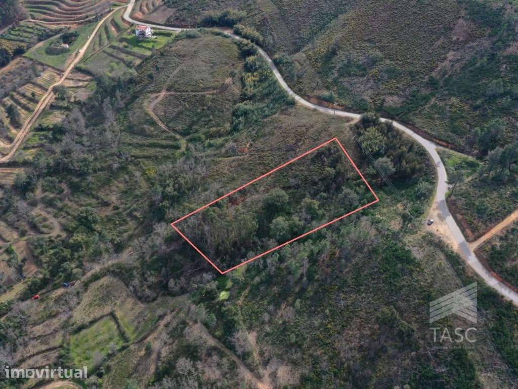 Terreno no Telhado, Fundão - Grande imagem: 5/14