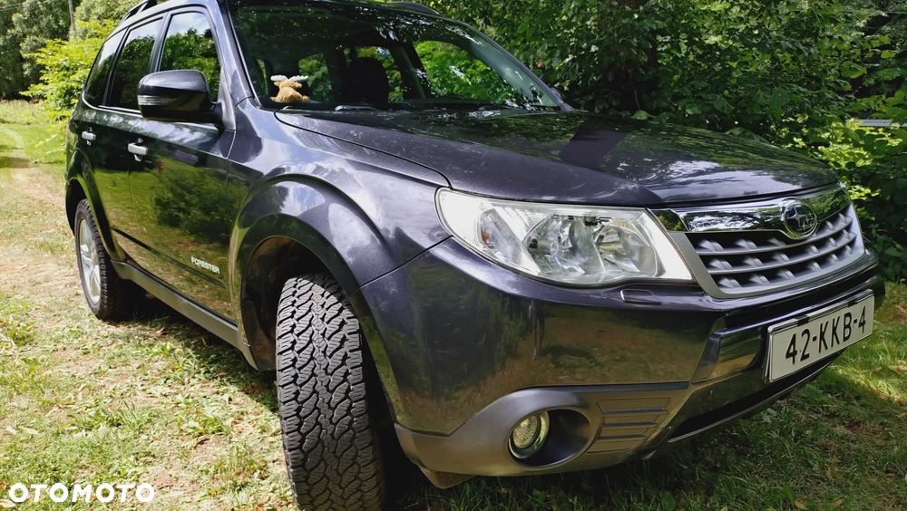 Subaru Forester 2.0X Automatik Exclusive - 1