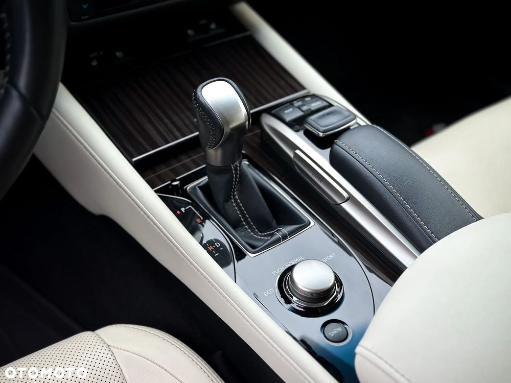 Lexus GS 200t / 300 Elegance - 24