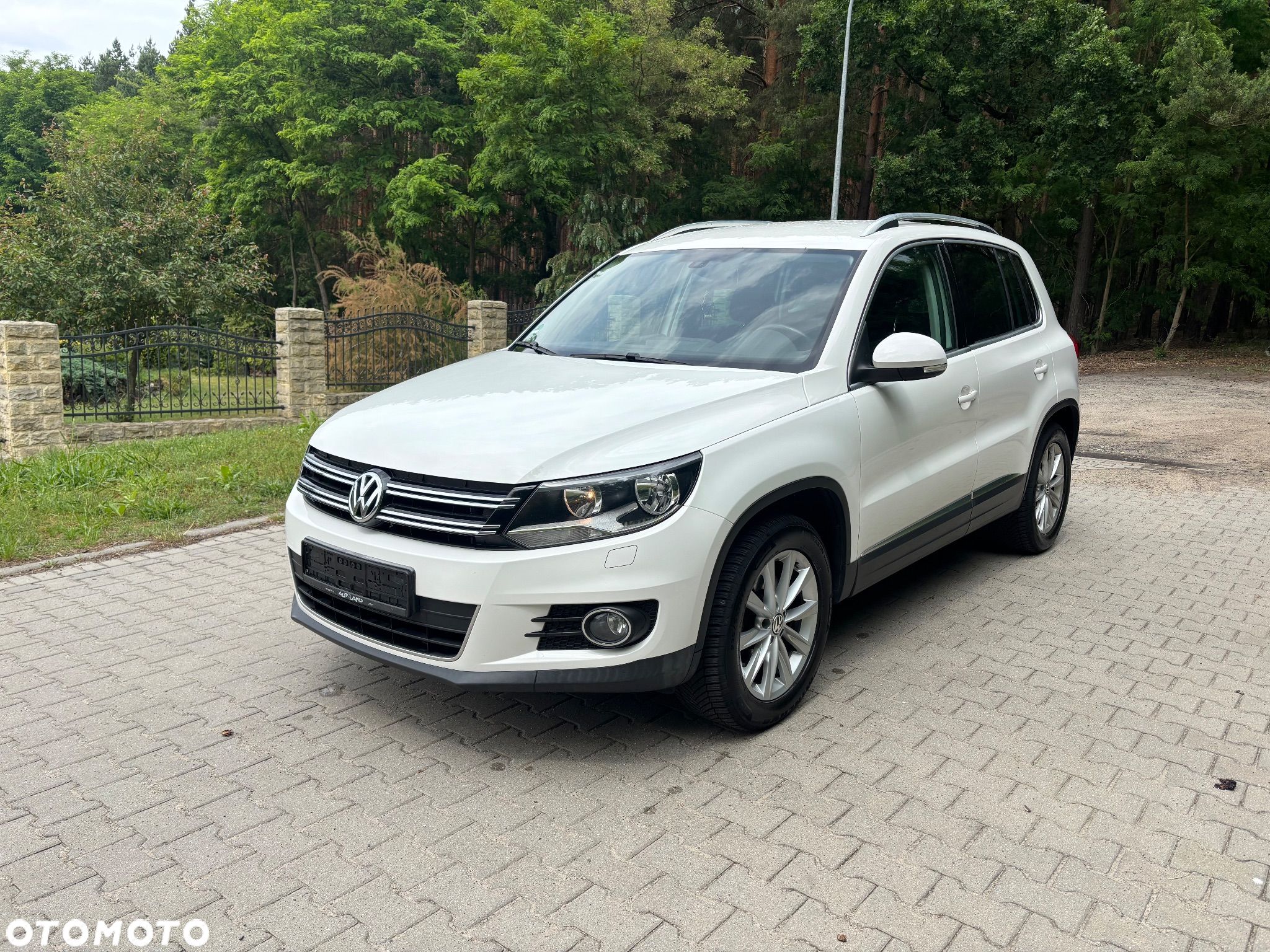 Volkswagen Tiguan - 1
