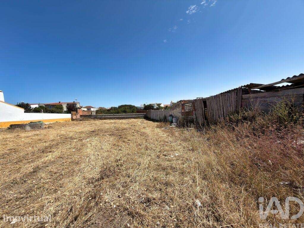 Terreno em Vieira de Leiria - Grande imagem: 2/5