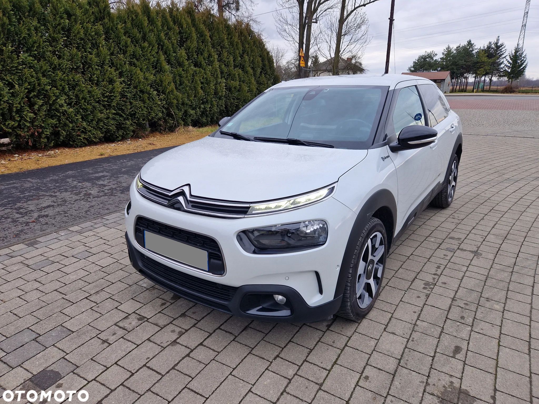 Citroën C4 Cactus BlueHDi 120 Stop&Start EAT6 Origins - 1