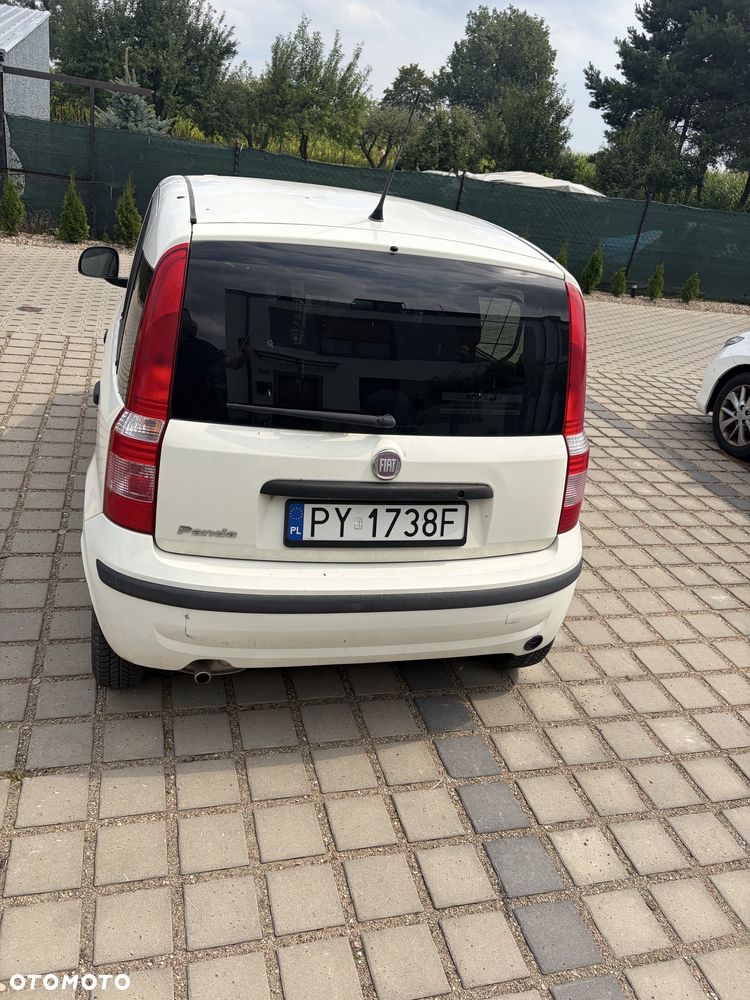 Fiat Panda - 2