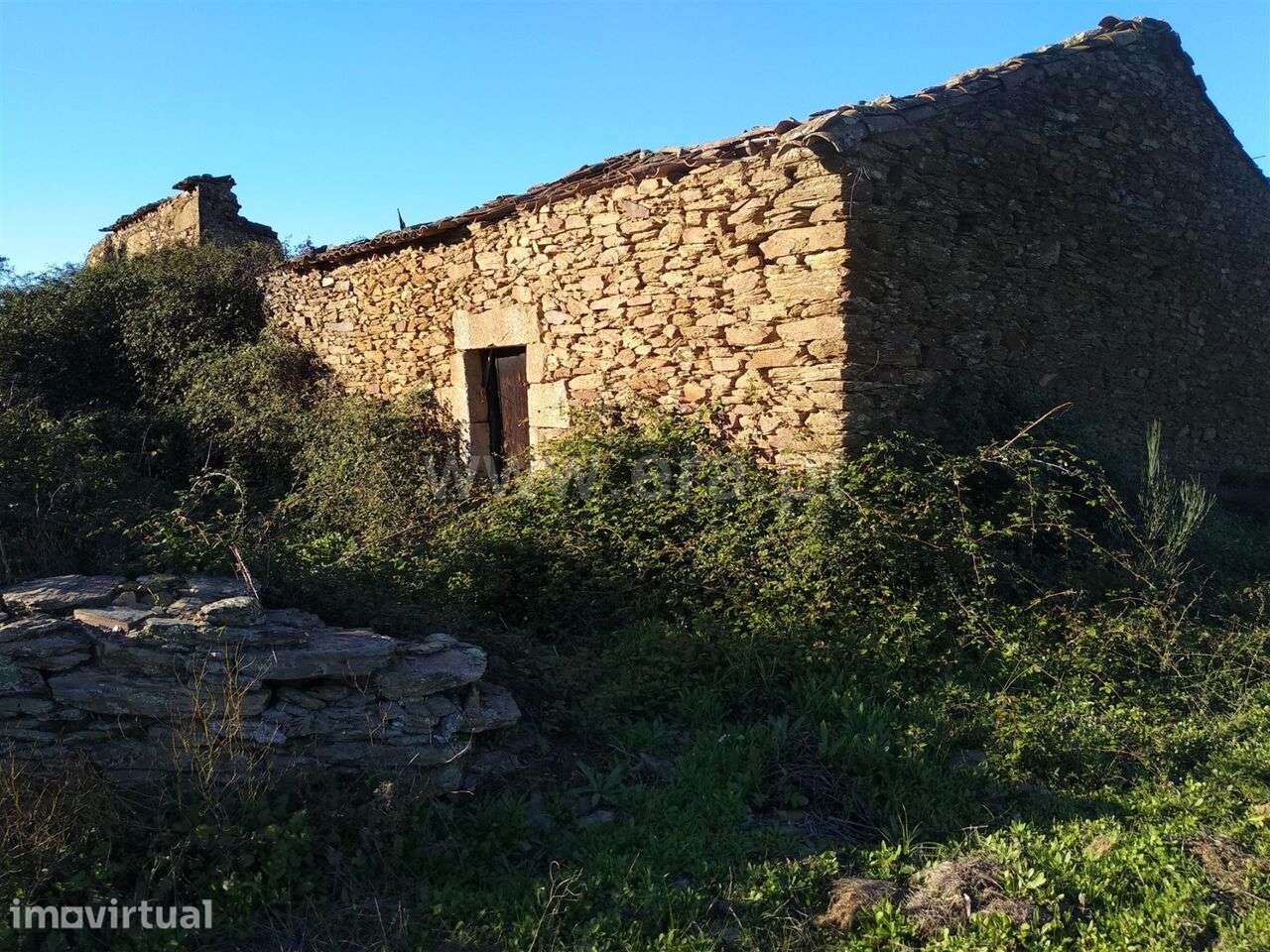 Terreno com ruina / Fundão, Enxames - Grande imagem: 2/3
