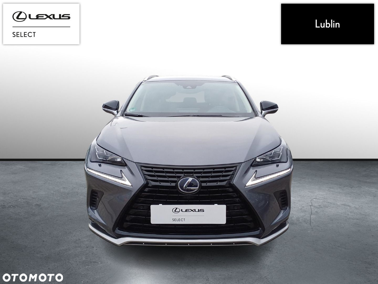 Lexus NX - 8