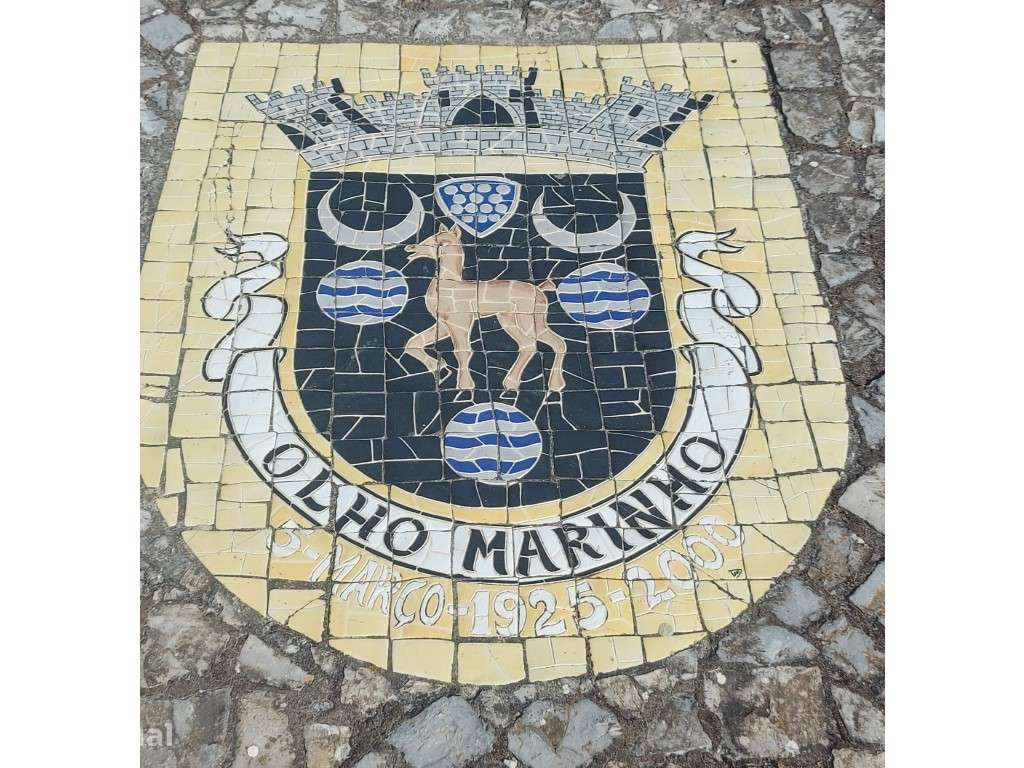 Prédio Obidos - Grande imagem: 4/46