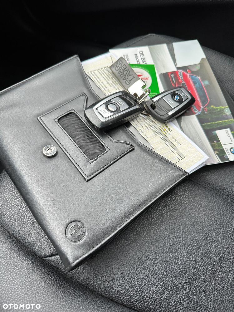 BMW Seria 3 318d Blue Performance Luxury Line - 16