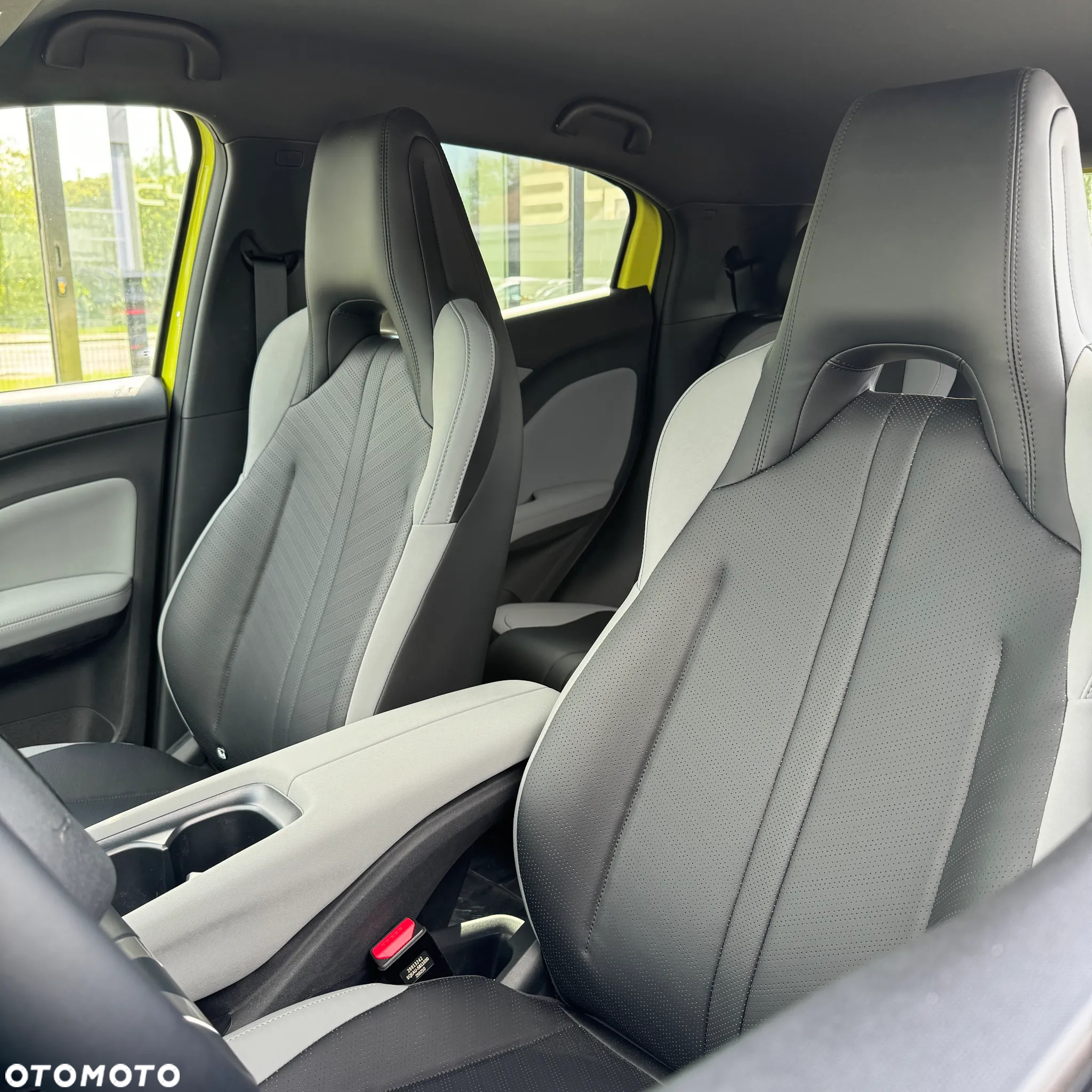 BYD Dolphin Surf - 16