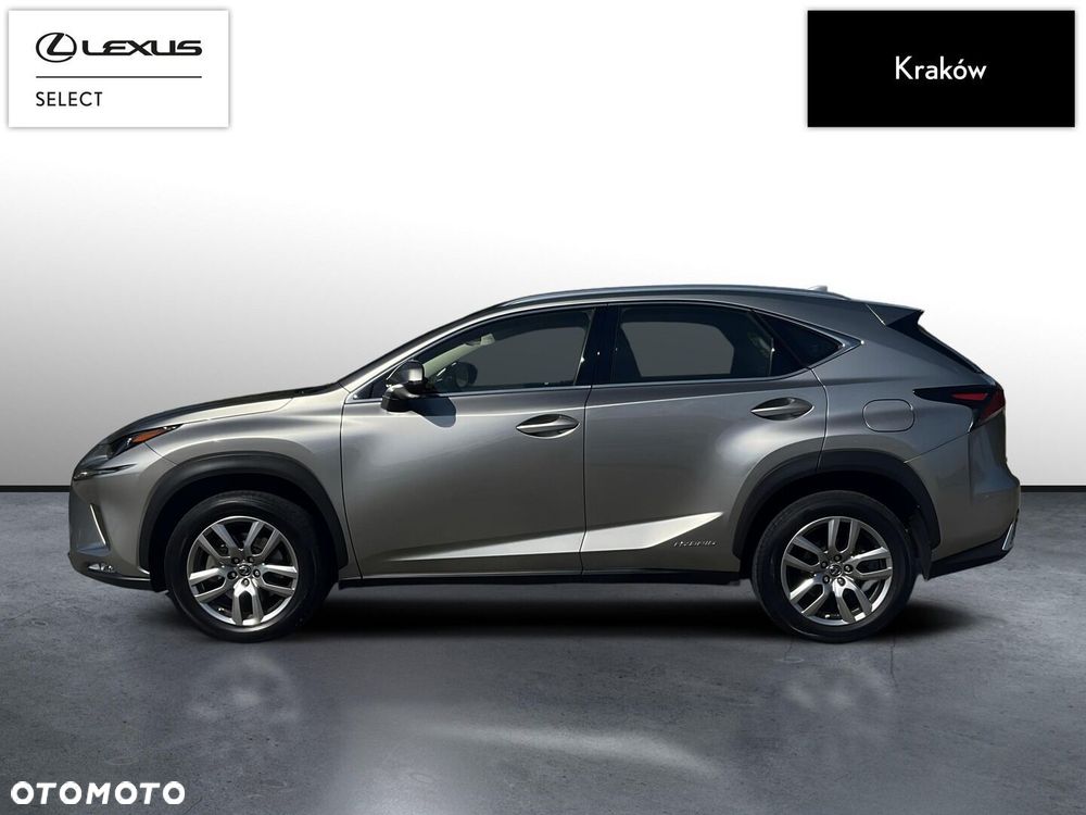 Lexus NX 300h Business Edition AWD - 2
