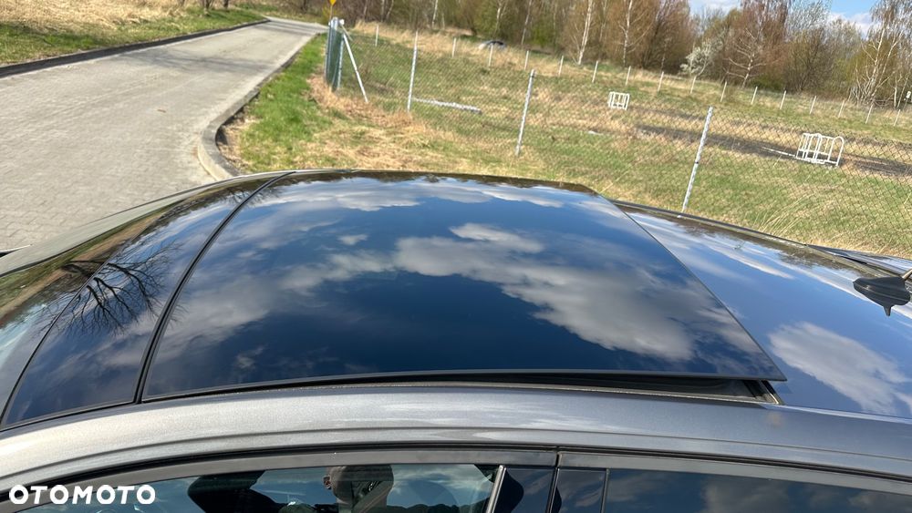 Volkswagen Polo 2.0 TSI GTI DSG - 17