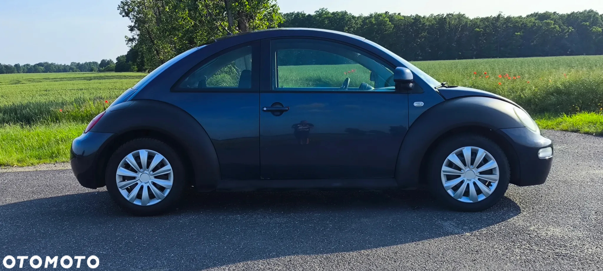 Volkswagen New Beetle - 9