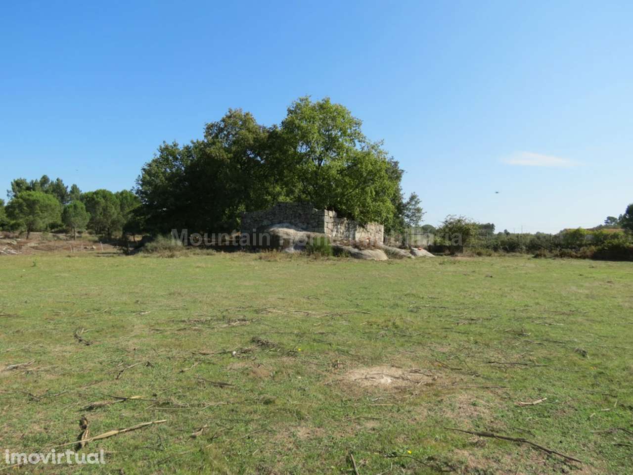 Quinta  Venda em Paranhos,Seia - Grande imagem: 5/8