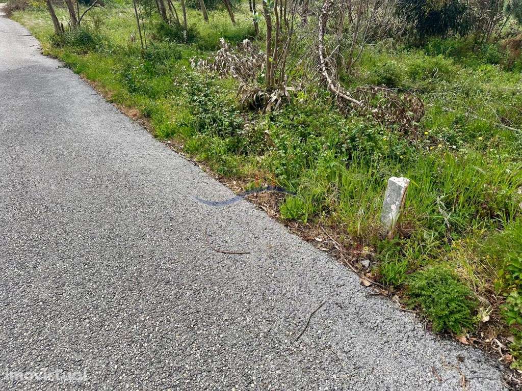 Terreno - Monte Real - Grande imagem: 3/12