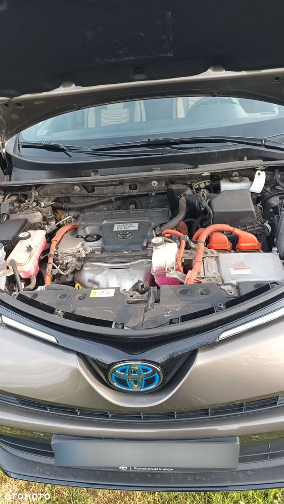 Toyota RAV4 Hybrid Prestige 4x2 - 9
