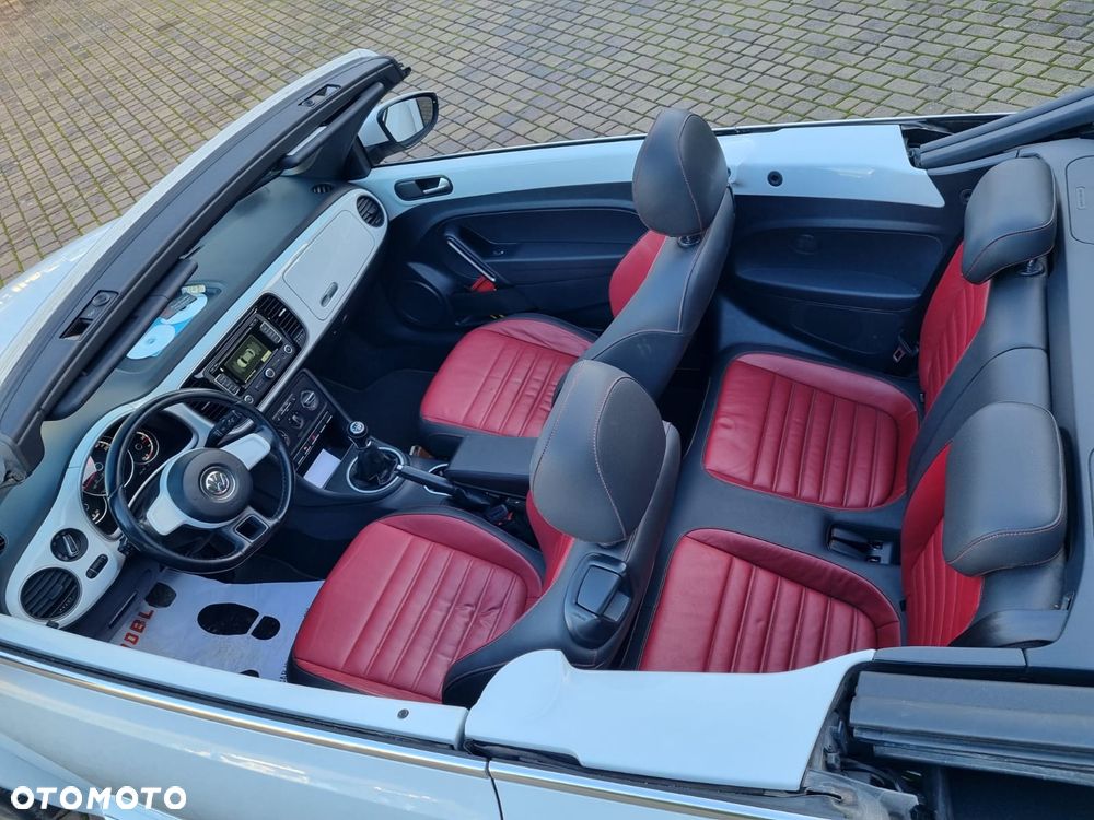 Volkswagen Beetle - 18