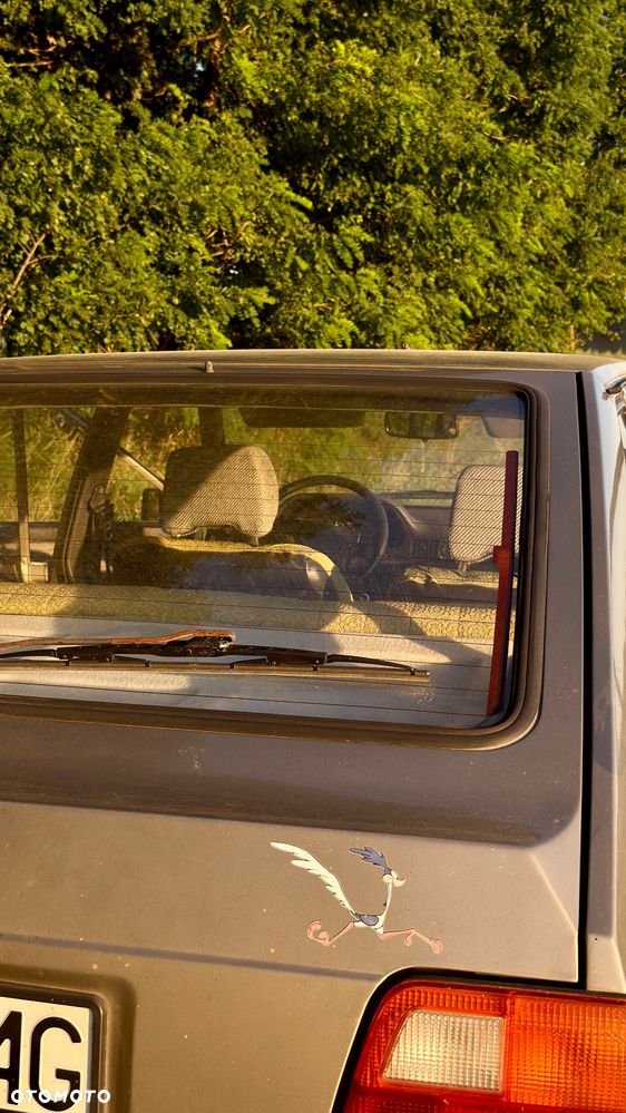 Polonez Caro - 34