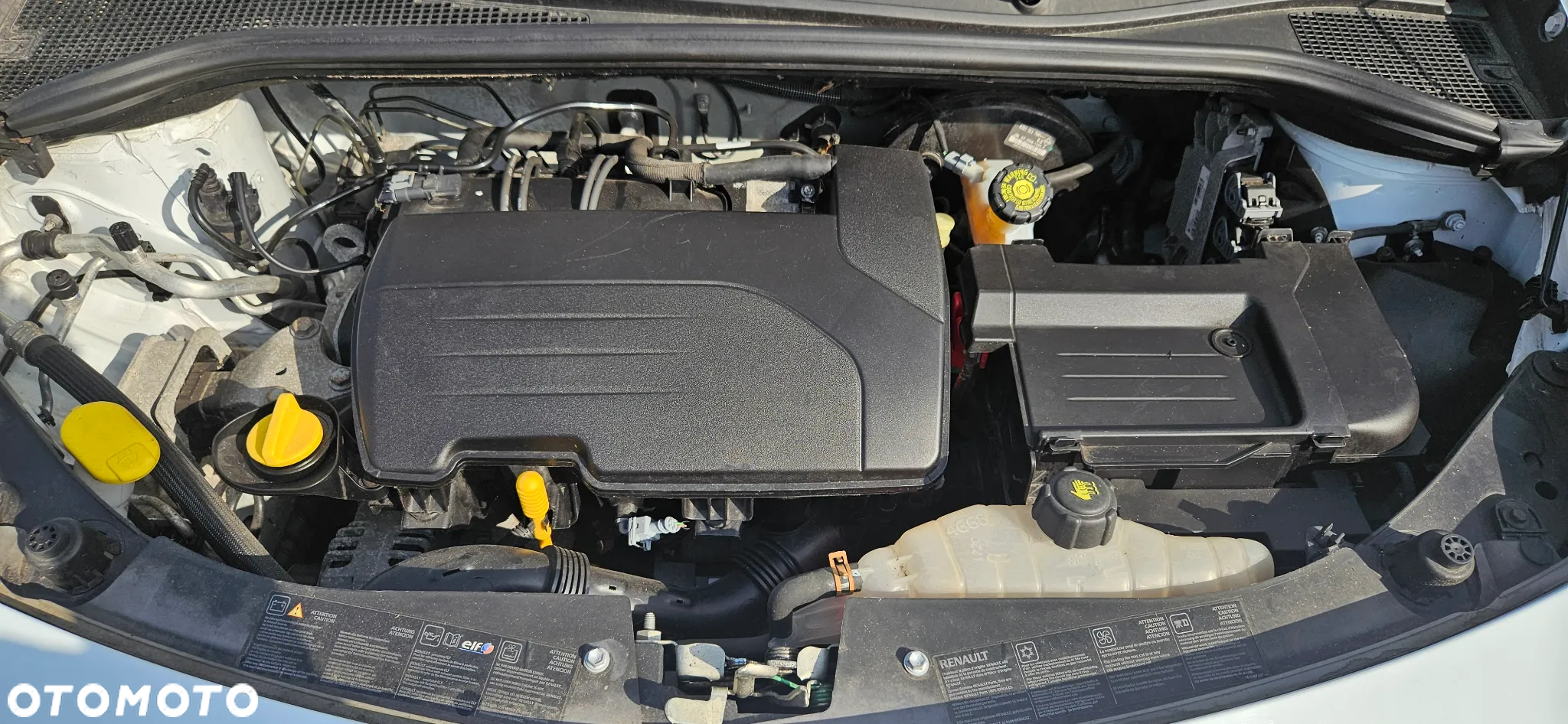 Renault Clio - 8