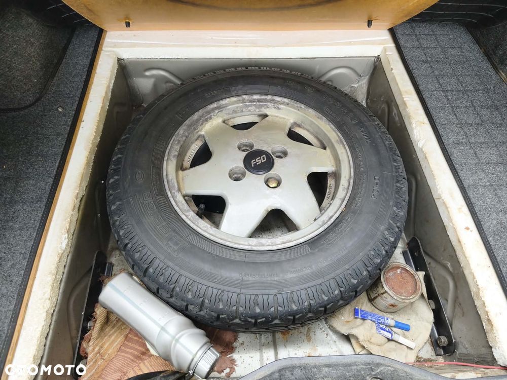 Polonez Caro - 10