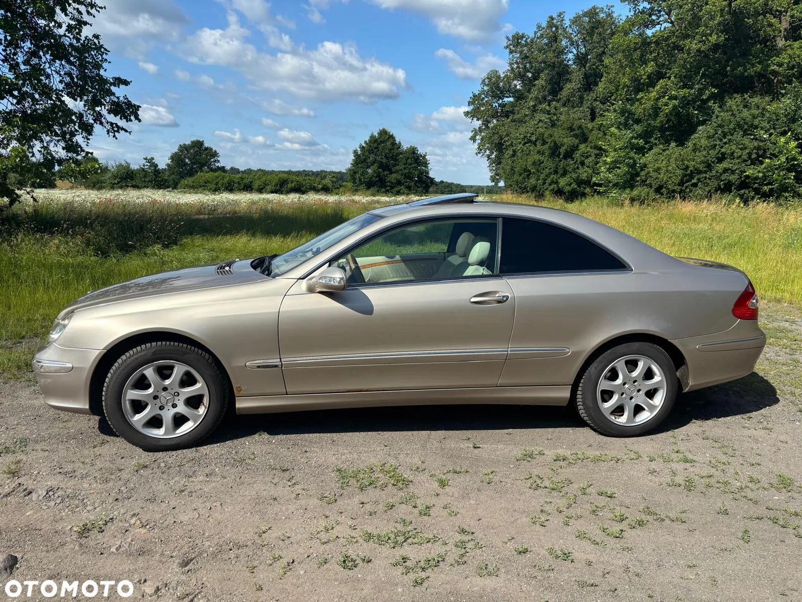 Mercedes-Benz CLK - 7