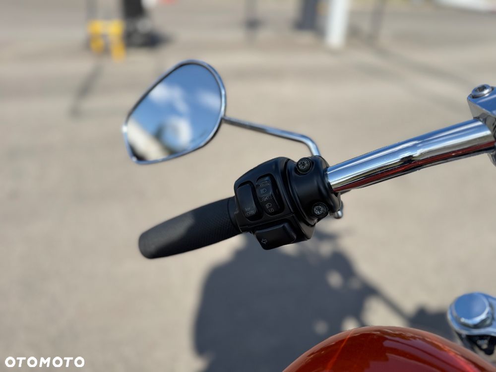 Harley-Davidson Softail - 18
