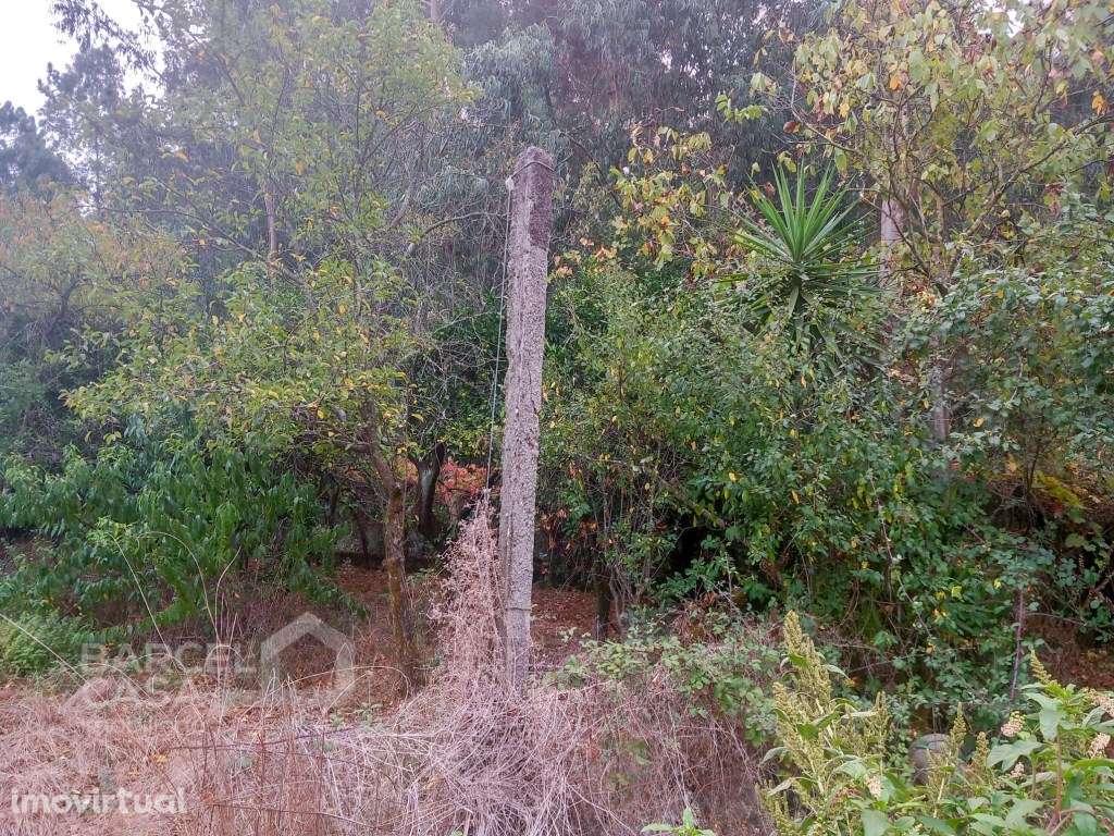 Terreno de construção em Galegos (São Martinho) - Barcelos - Grande imagem: 2/4