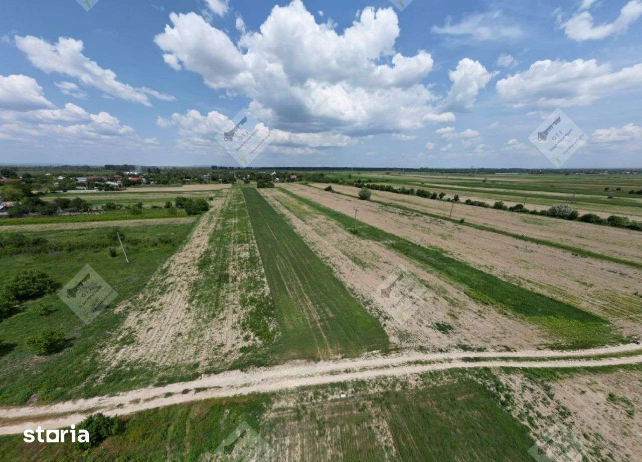 Teren Intravilan Mircestii Vechi Vanatori-6100mp - Imagine principală: 3/8