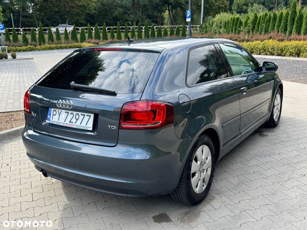 Audi A3 3-drzwiowe 1.6 TDI Attraction - 8