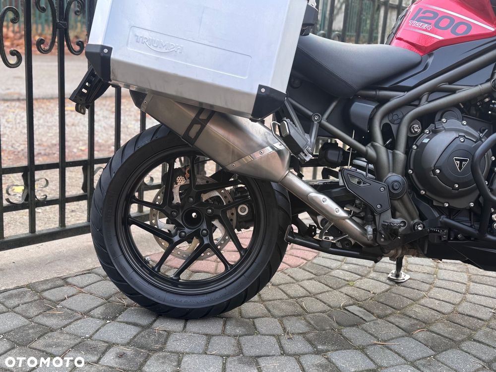 Triumph Tiger - 9