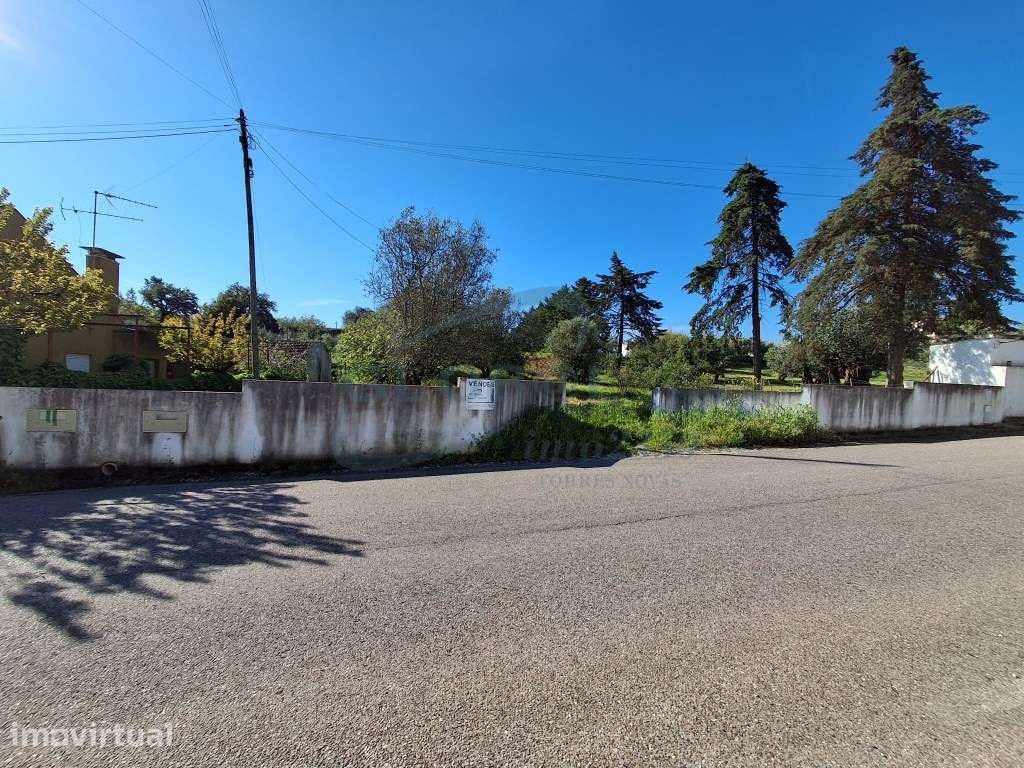 Terreno com cerca de 10.240 m², localizado em Almonda, numa zona tr... - Grande imagem: 3/8