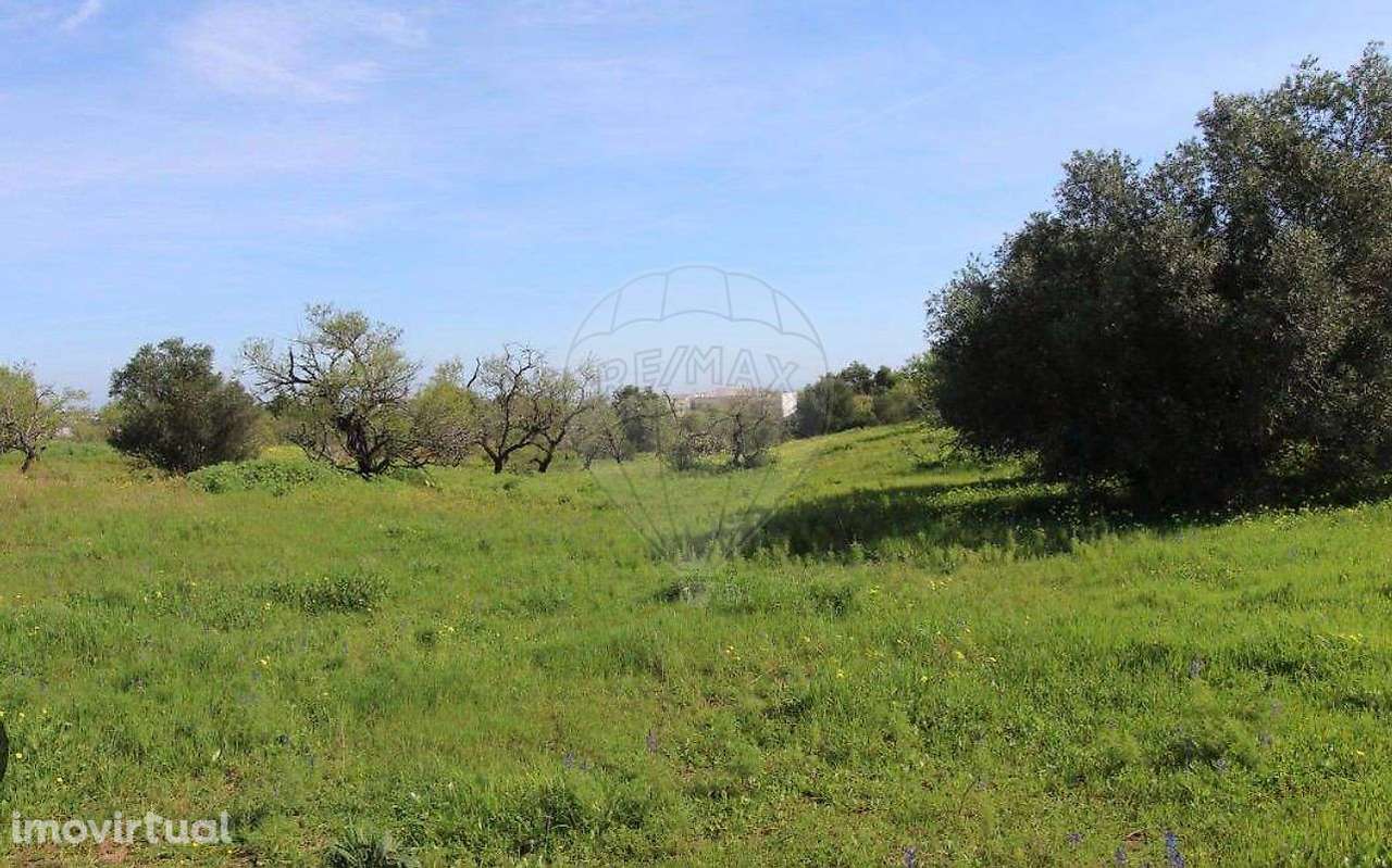 Terreno  para venda - Grande imagem: 4/4