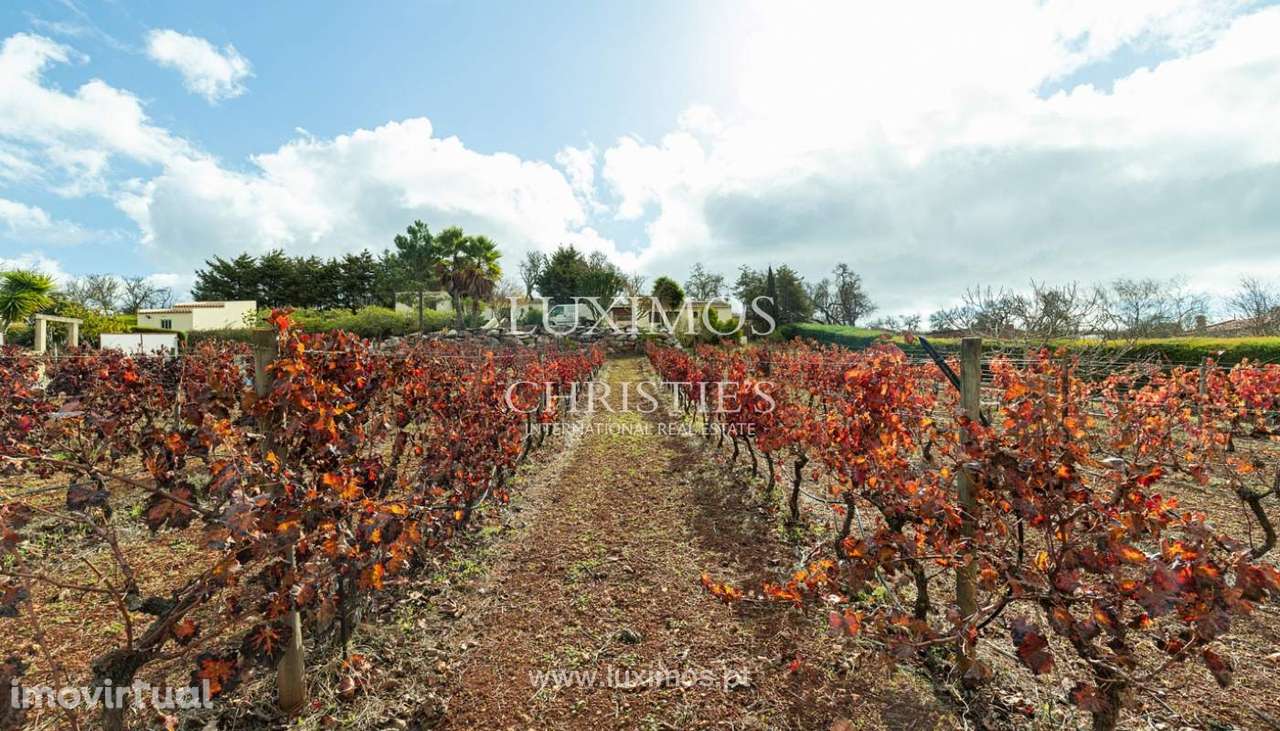 Propriedade com 3 moradias rodeadas de vinhas, Praia da Luz, Lagos - Grande imagem: 3/26