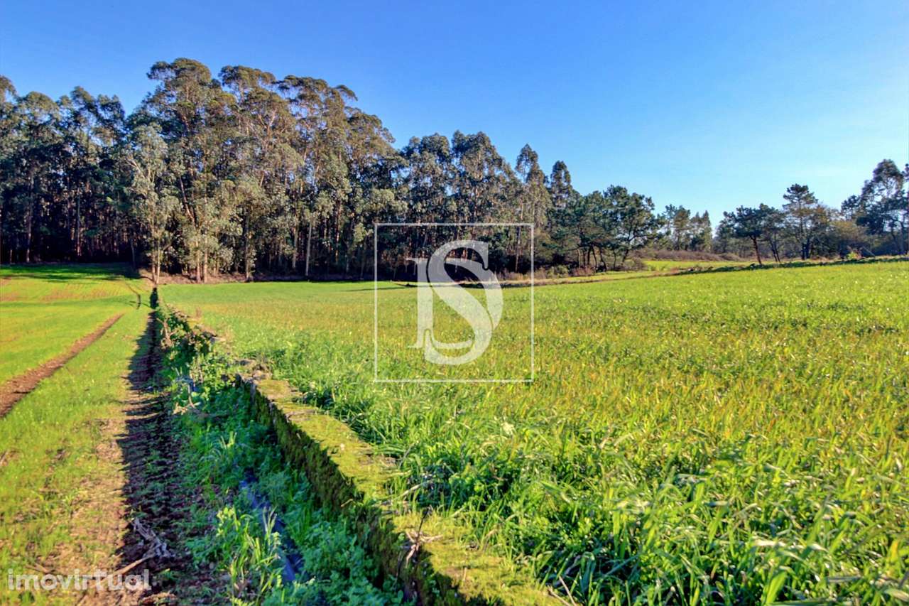 Terreno  Venda em Laundos,Póvoa de Varzim - Grande imagem: 2/4