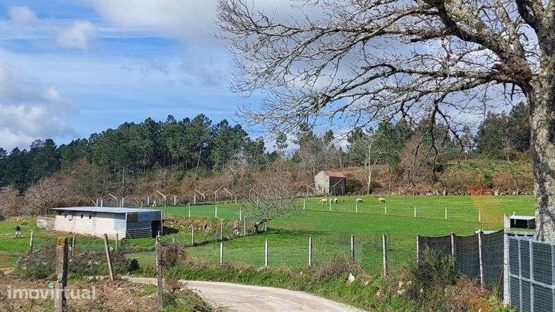 Terreno no Gove/Baião para venda - Grande imagem: 4/12