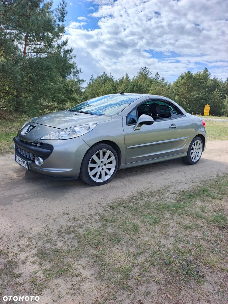 Peugeot 207 - 19