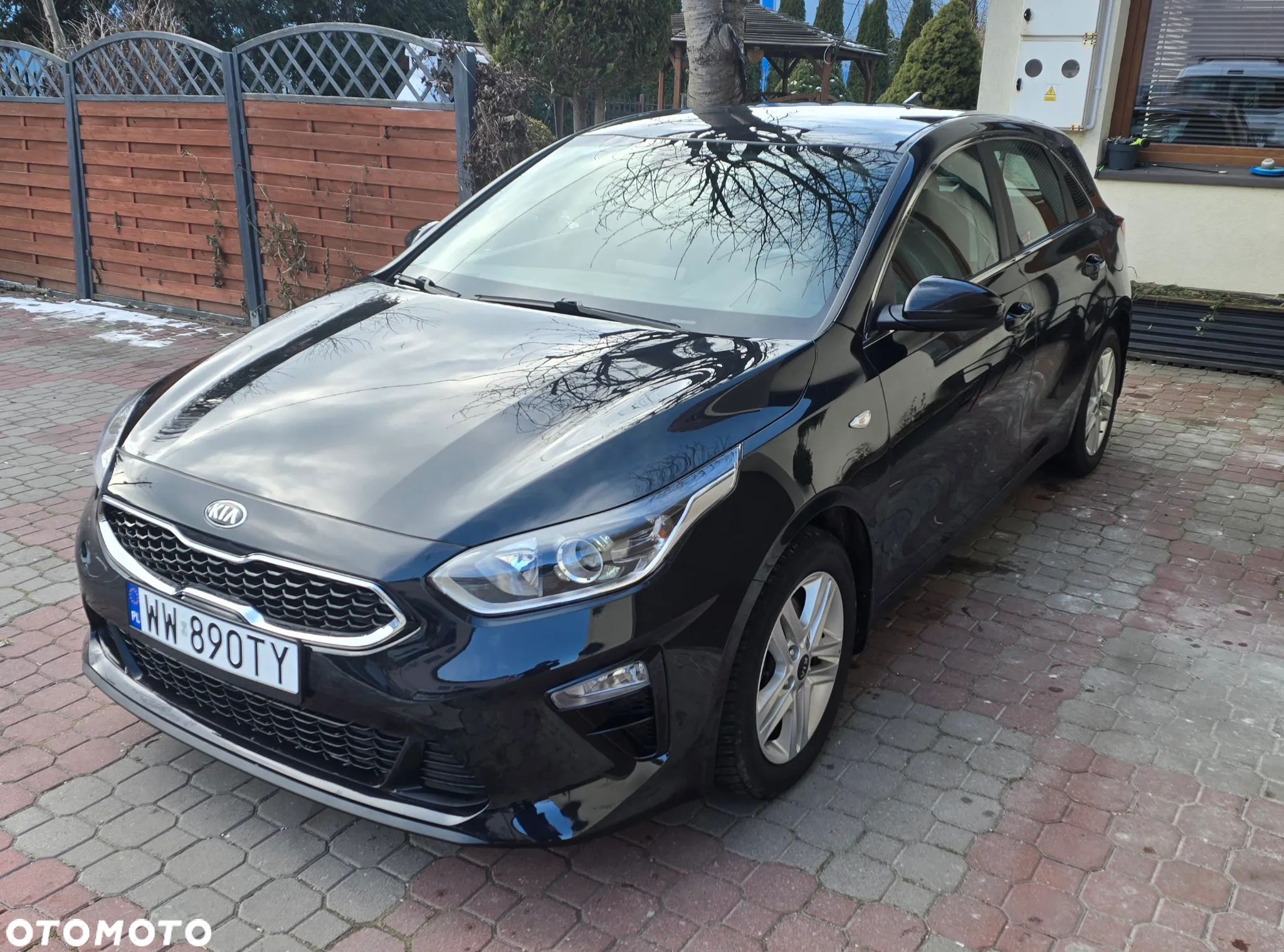 Kia Ceed - 1