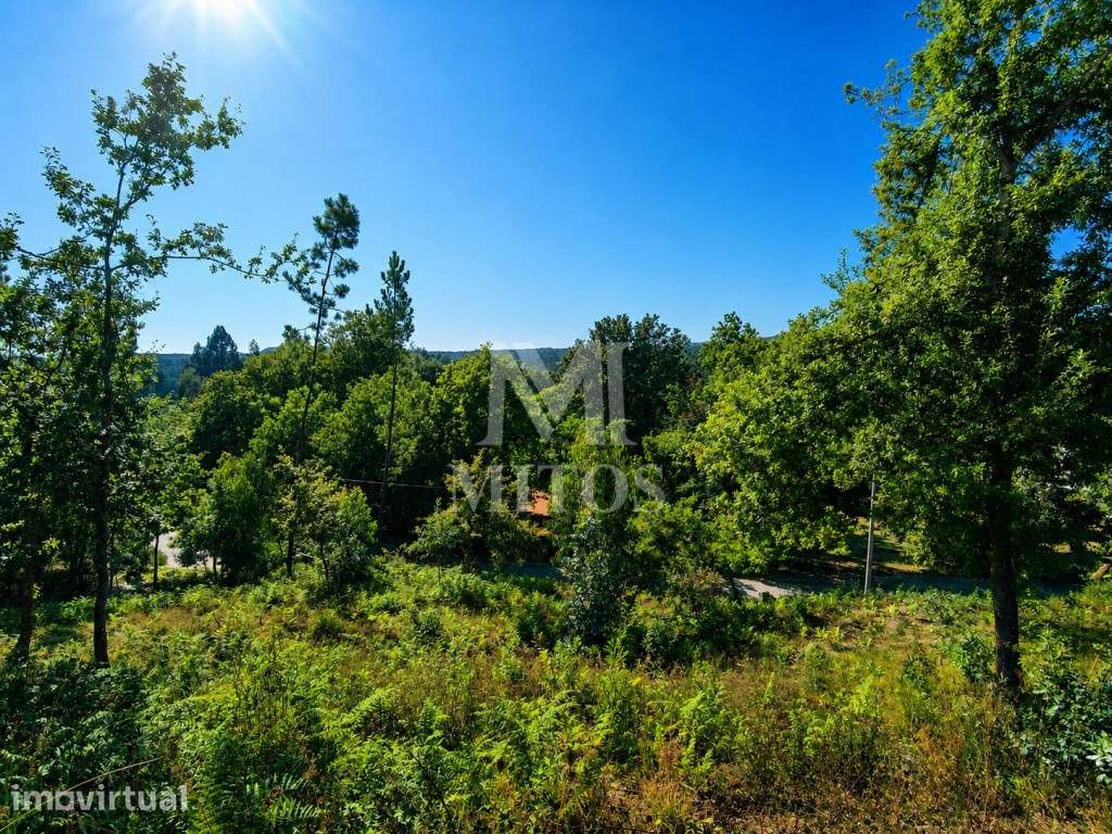 Terreno de construção para venda em Tregosa - Barcelos - Grande imagem: 4/13