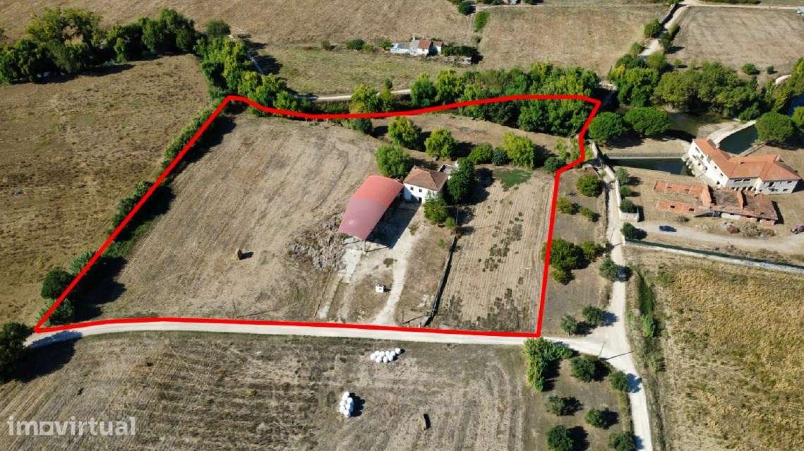 Quinta Rural - Torres Novas - Junto ao Rio Almonda - Grande imagem: 3/14